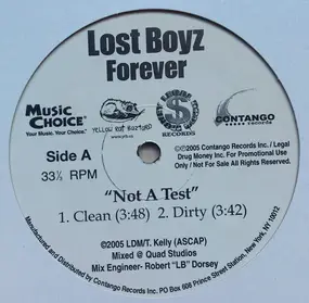 The Lost Boyz - Not A Test