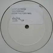 lost witness - Did I Dream
