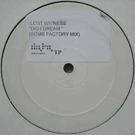 Lost Witness - Did I Dream
