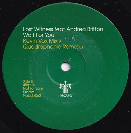 LOST WITNESS - WAIT FOR YOU