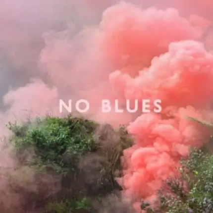 LOS CAMPESINOS - NO BLUES