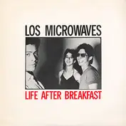 LOS MICROWAVES