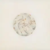 Lotte Kestner - Off White