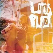 lotus plaza - The Floodlight Collective
