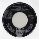 7'' - Lou Christie - I'm Gonna Make You Mine