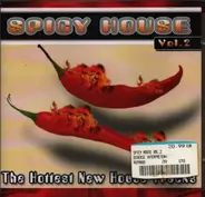 Louis Botella, Armand Van Helden, Concrete Beats a.o. - Spicy House Vol. 2 - The Hottest New House Tracks