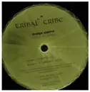 LP - Lounge Control - Pimp My Babe