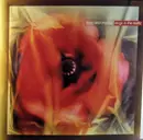 LP - Love And Money - Dogs In The Traffic