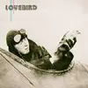 CD - Lovebird - Lovebird