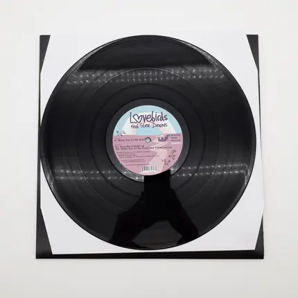 Lovebirds Feat. Stee Downes - Want You in My Soul
