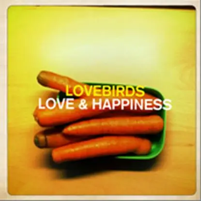 Lovebirds - Love & Happiness, Steve Bug Rmx