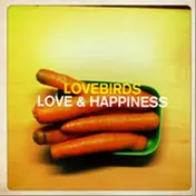 Lovebirds - Love & Happiness, Steve Bug Rmx