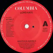 7inch Vinyl Single - Love/Hate - Wasted In America