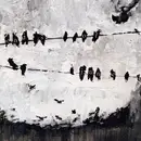 CD - Low Low Low La La La Love Love Love - Ends Of June