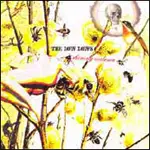 The Low Lows - Shining Violence