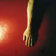 CD - Low - Trust