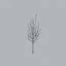 Double LP & MP3 - Low - Ones And Sixes