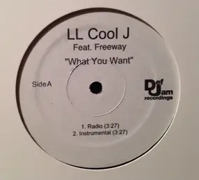 LL Cool J - What You Want