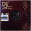 12'' - LL Cool J Introducing Kandice Love - Amazin'