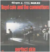 Lloyd Cole - Perfect Skin