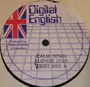 12inch Vinyl Single - Lloyd-D-Stiff - Calm Down / Story Go So