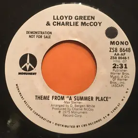 Lloyd Green - Theme From "A Summer Place"