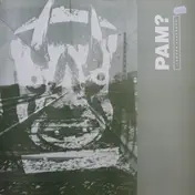 Llwybr Llaethog - Pam?