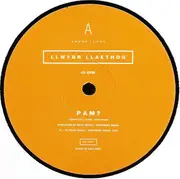 12inch Vinyl Single - Llwybr Llaethog - Pam?