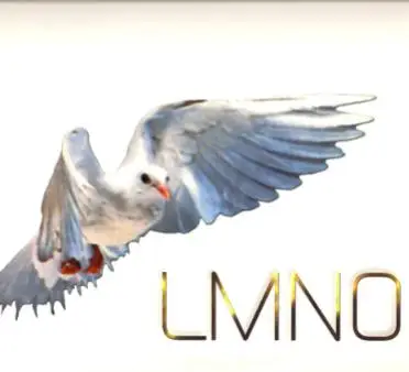 Lmno - Invigorating / Souldier / With Meaning