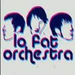 lo fat orchestra - Questions for Honey