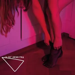 lo fat orchestra - Neon Lights
