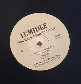 Lumidee - Never Leave