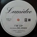 12inch Vinyl Single - Lumidee Featuring Pitbull - Crazy