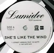 Lumidee & Tony Sunshine - She's Like The Wind
