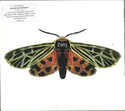 Lunz - Lunz Reinterpretations