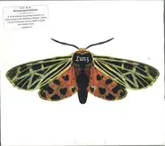 Lunz - Lunz Reinterpretations