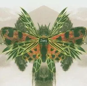 Lunz - Reinterpretations