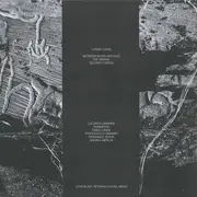 12inch Vinyl Single - Lunar Lodge - Between Silver And God - still sealed