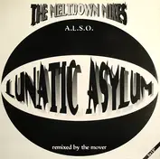 Lunatic Asylum