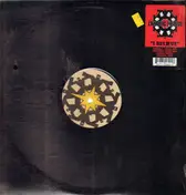 Lunatic Fringe - I Believe