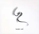 CD - Lunatic Soul - Ii