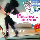 12inch Vinyl Single - Lune De Miel - Paradise Mi Amor