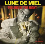 7inch Vinyl Single - Lune De Miel - Feeling Of The Night