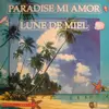 12inch Vinyl Single - Lune De Miel - Paradise Mi Amor