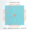 LP - Lungfish - The Unanimous Hour