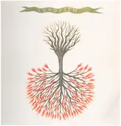 LP - Lungfish - Love Is Love