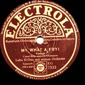 Lubo D'Orio Mit Seinem Orchester - Over The Rainbow / My What A Fry!