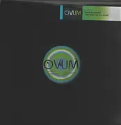 12inch Vinyl Single - Luca Bachetti - No Time To Get Back