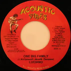 Luciano - One Big Family