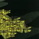 12inch Vinyl Single - Luciano & Guy Gerber / Lee Van Dowski & Glimpse - Versus